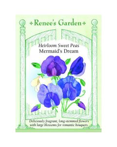 Lathyrus, Sweet Pea, Mermaid's Dream ~ 40 seeds