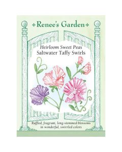 Lathyrus, Sweet Pea, Saltwater Taffy Swirls ~ 30 seeds