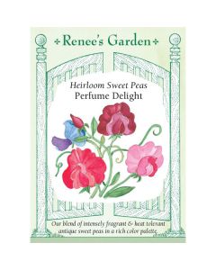 Lathyrus, Sweet Peas, Perfume Delight ~ 40 seeds