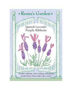 Lavandula, Spanish Lavender, Purple Ribbons ~ 40 seeds