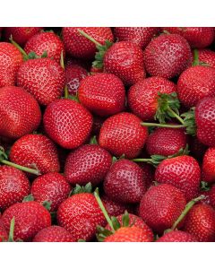 Fragaria, Strawberry 'Delizz®'