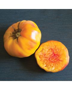 Solanum, Tomato Pole 'Striped German'