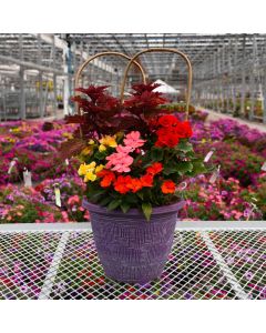 'Summer Combo' Patio Planter