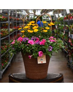 'Pink Lemonade' Helix Combo Patio Tub