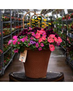 'Sunrise Surprise' Helix Combo Patio Planter