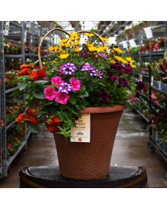 'The Royal' Helix Combo Patio Planter