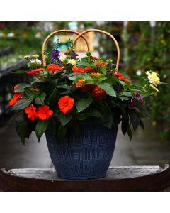 'Sun Lovin' Combo Patio Planter