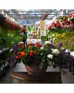 'Sun Lovin' Combo Hanging Basket