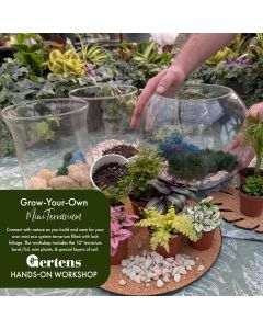 Terrarium Workshop | Saturday January 31st at 2pm
