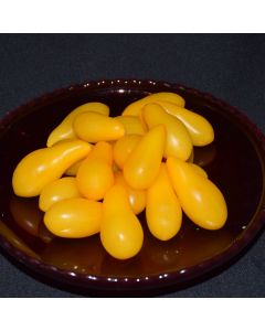 Solanum, Tomato Pole 'Yellow Pear'
