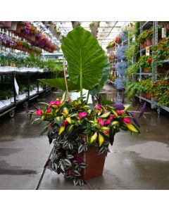 'Tropical Treasure' Combo Square Patio Planter