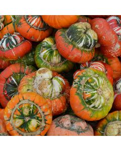 Squash, Turban