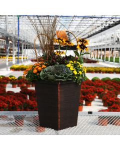 'Harvest Fall Combo' Square Patio Planter