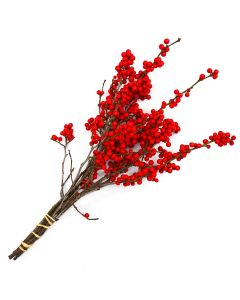 Winterberry Twigs with Berries