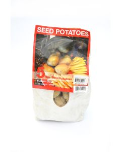 Potato, Seed Potatoes, Yukon Gold