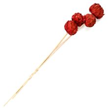 Artichoke Stakes 'Merlot'