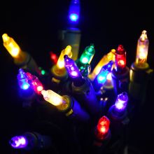 Gabriel Lights® LED Classic T5 Multi-Colored String Lights