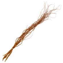 Willow, Curly Willow Tips, Small