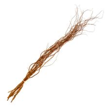 Willow, Curly Willow Tips, Medium 