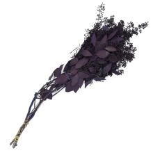Eucalyptus with Seed Heads, Dipped 'Purple'
