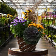 'Festive Fall Combo' Wicker Patio Planter