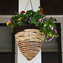 'Natural Cone Basket' Hanging Basket