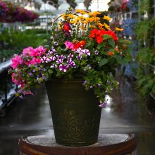 'Mini Awesome Combo' Patio Planter