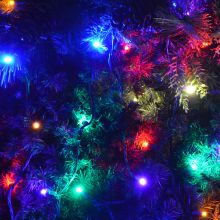 Gabriel Lights® LED 5mm Wide Angle Multi Colored String Lights