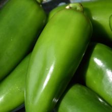 Capsicum, Hot Pepper 'Jalapeno'