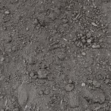 Pulverized Landscaping Topsoil per cubic yard