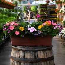 'Awesome Combo' Classic Window Box