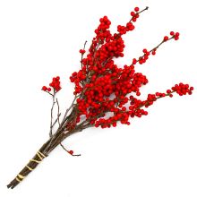 Winterberry Twigs with Berries