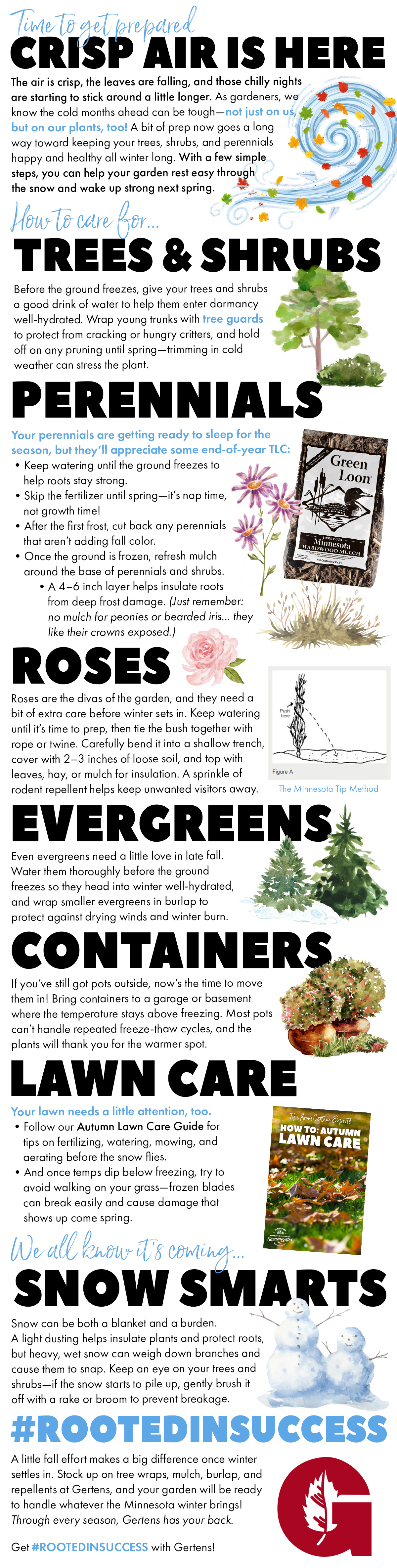 Fall and winter indoors are a time for your plants to rest and adjust. With a little care and attention now, you’ll set them up for success until it’s time to enjoy the sunshine outside again next spring.