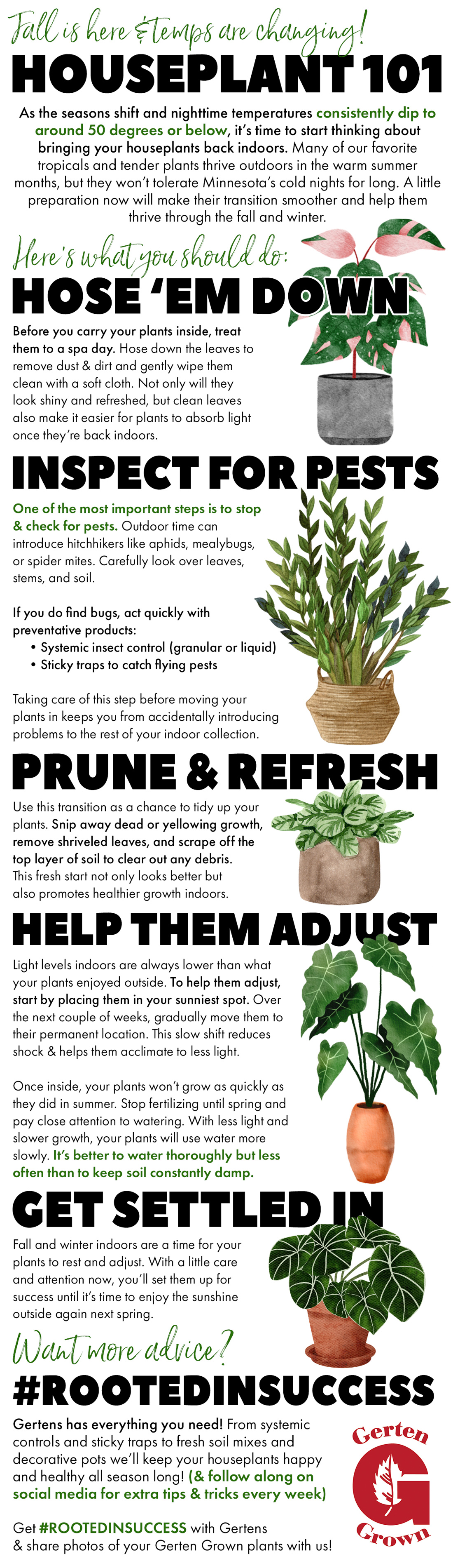 Fall and winter indoors are a time for your plants to rest and adjust. With a little care and attention now, you’ll set them up for success until it’s time to enjoy the sunshine outside again next spring.