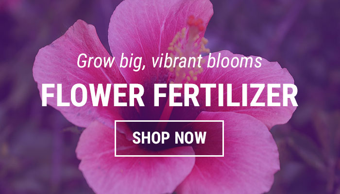 Flower Garden Fertilizer