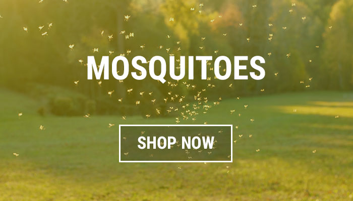 Mosquito Repellents