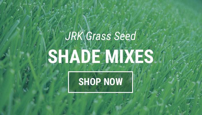 Shade Grass Seed Mixes