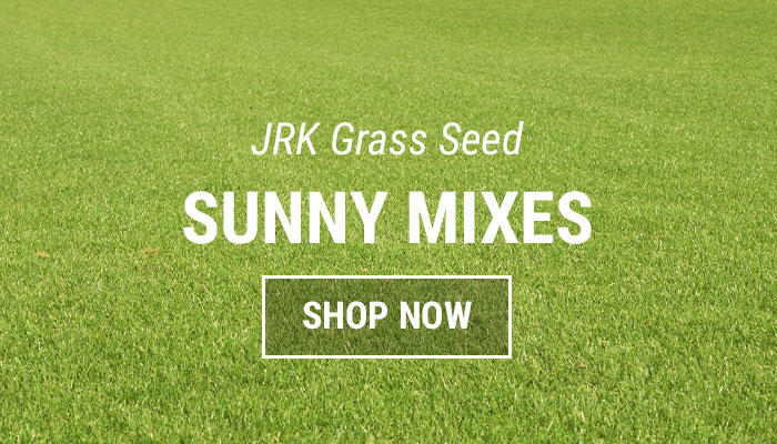 Sunny Grass Seed Mixes