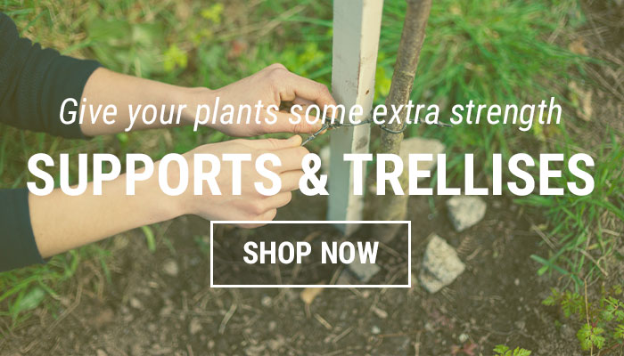 Supports and Trellises
