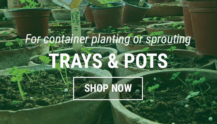 Trays and Pots