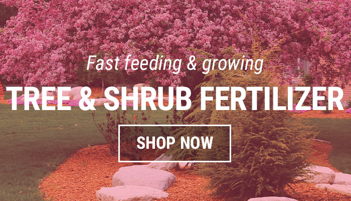 Tree and Shrub Fertilizers