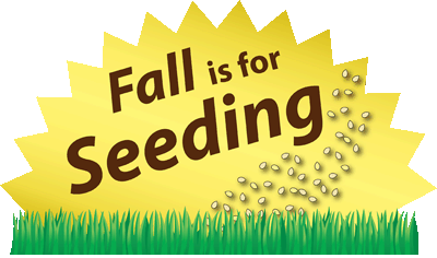 Fall is for seeding