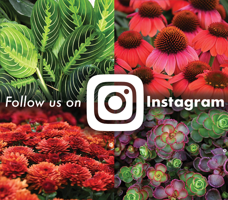 Gertens Garden Center Home