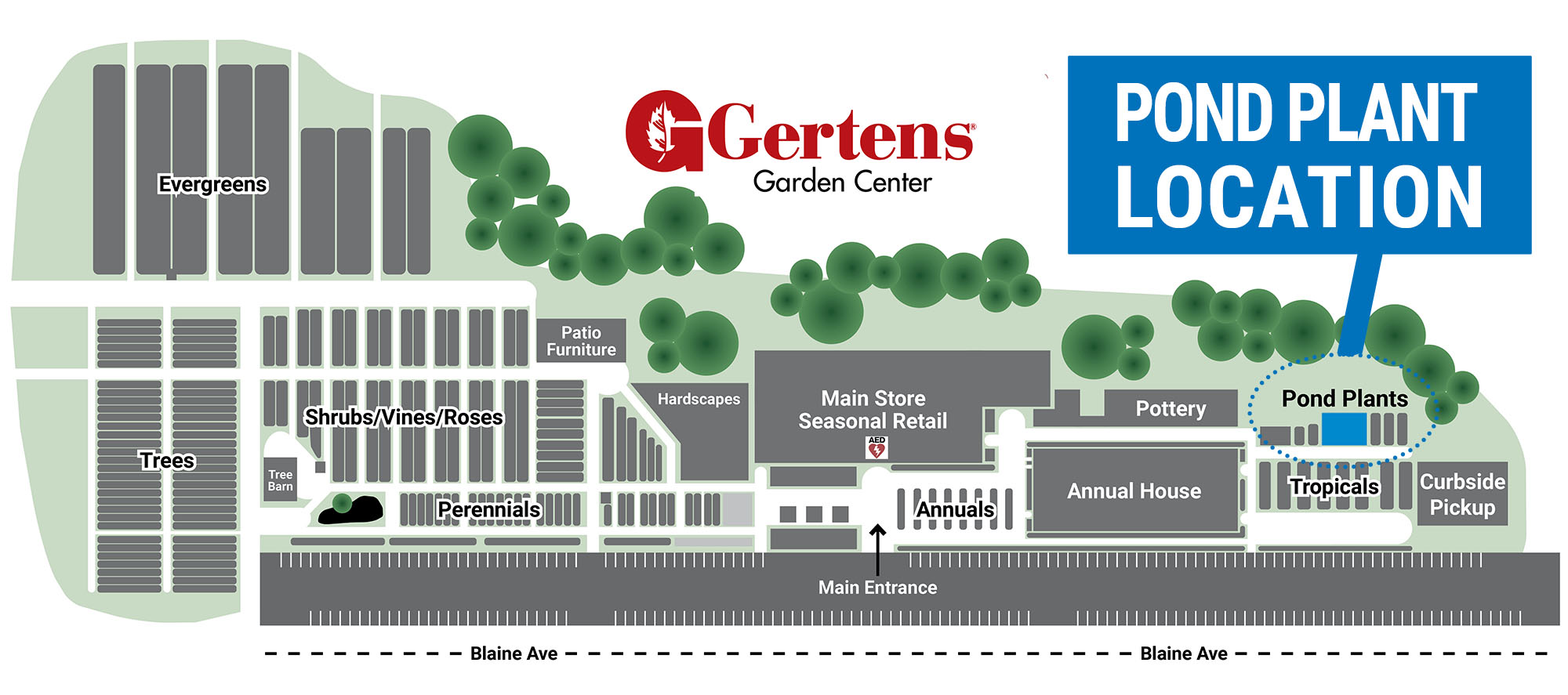 Pond Flower Crossword Best Flower Site