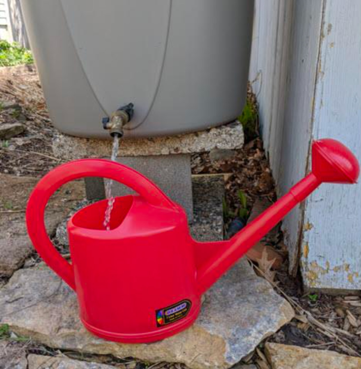 Rain bucket draining into watering can
