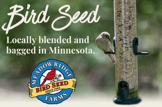Shop Bird Seed