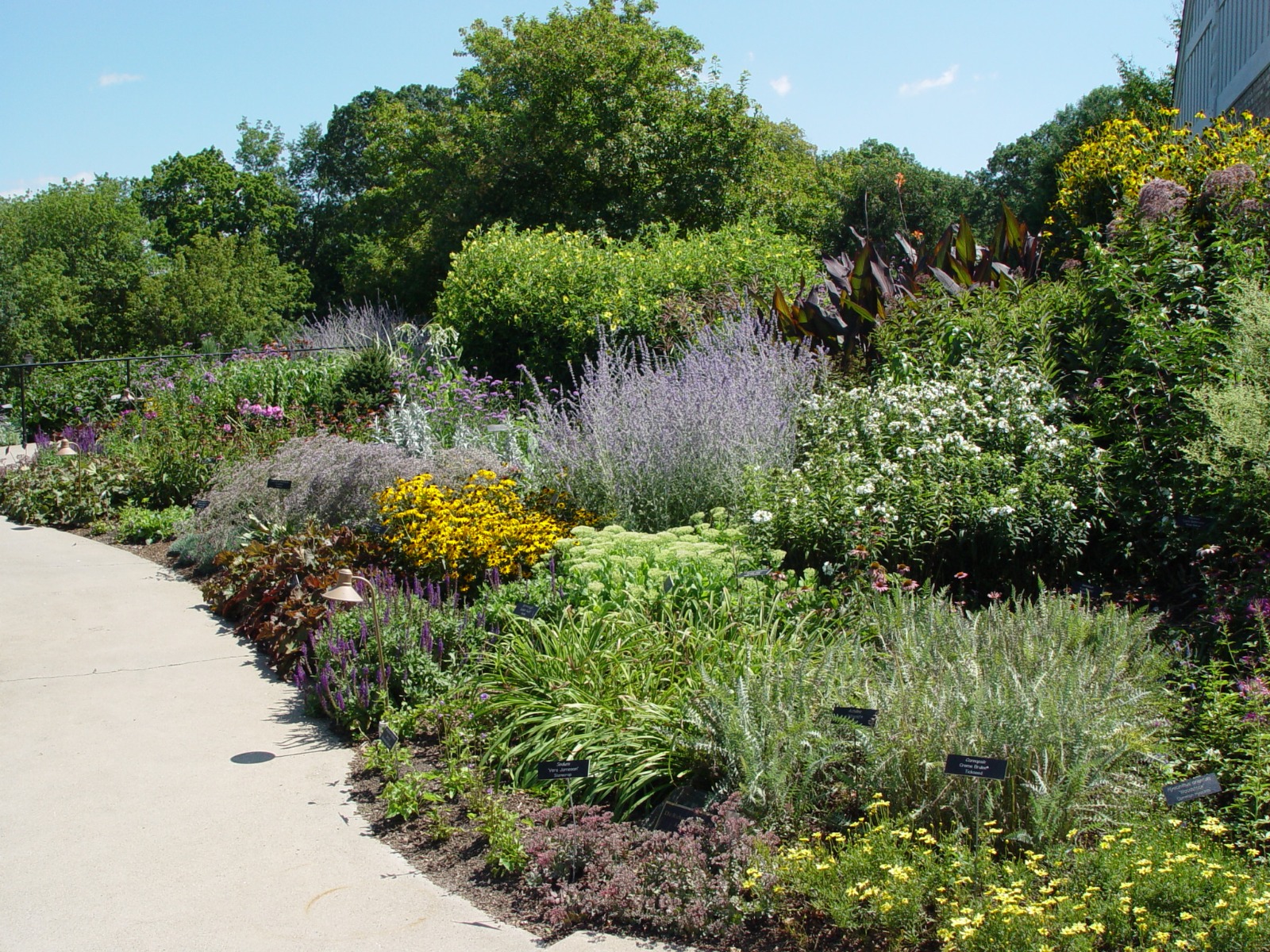 Designing and Installing A Rain Garden